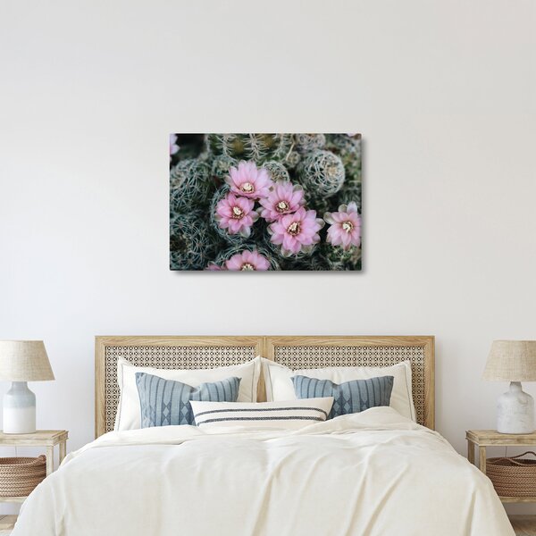 Tablou floare de cactus (70x50 cm)