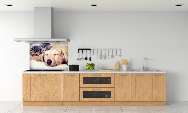 Panou sticlă decorativa bucătărie Puppy și pisici