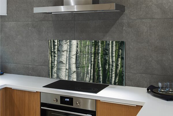 Panouri de sticlă pădurea de mesteacăn