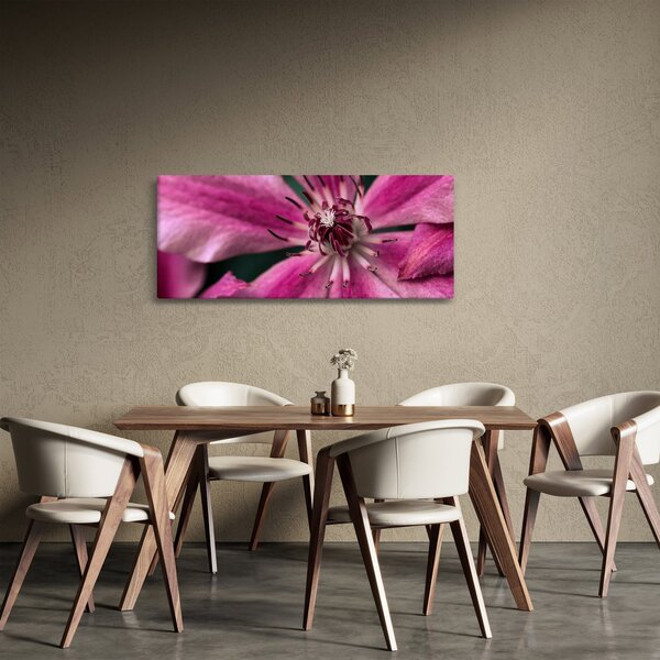 Tablou cu floarea roz de clematis (120x50 cm)