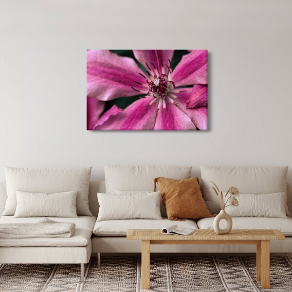 Tablou cu floarea roz de clematis (90x60 cm)