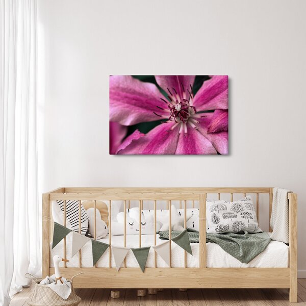 Tablou cu floarea roz de clematis (90x60 cm)