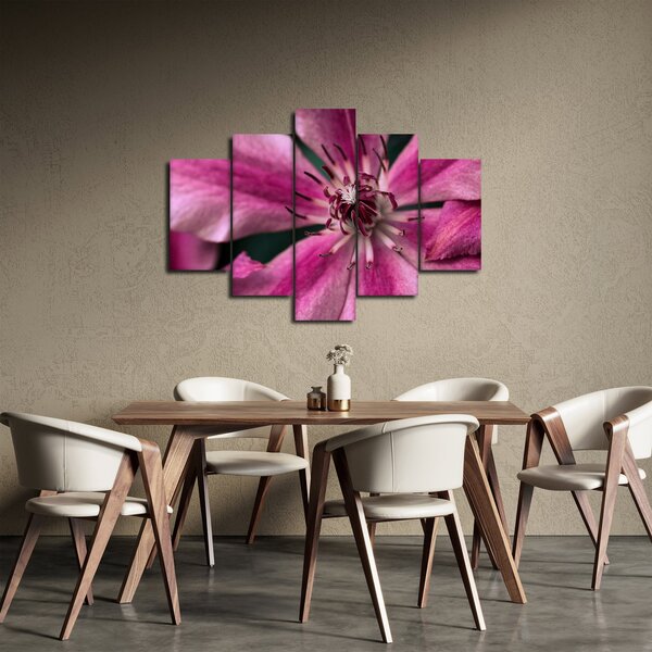 Tablou cu floarea roz de clematis (150x105 cm)