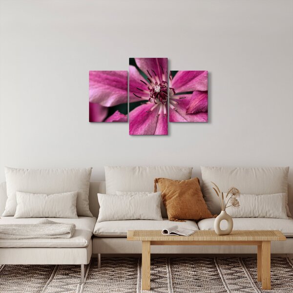 Tablou cu floarea roz de clematis (90x60 cm)