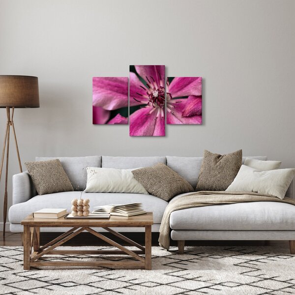 Tablou cu floarea roz de clematis (90x60 cm)