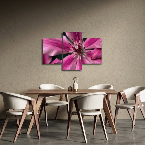 Tablou cu floarea roz de clematis (90x60 cm)