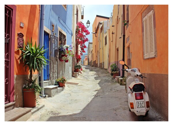 Tablou cu strada din Sardinia (70x50 cm)