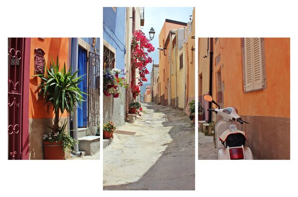 Tablou cu strada din Sardinia (90x60 cm)
