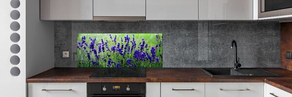 Panou sticlă decorativa bucătărie Lavandă