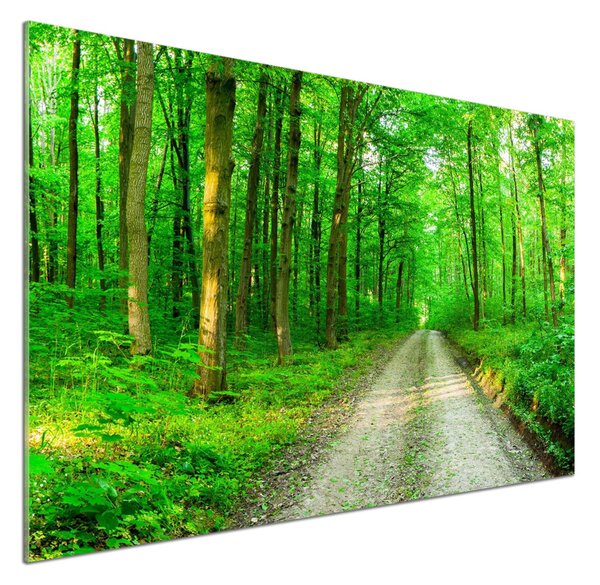 Panou sticla securizata bucatarie Copaci în pădure