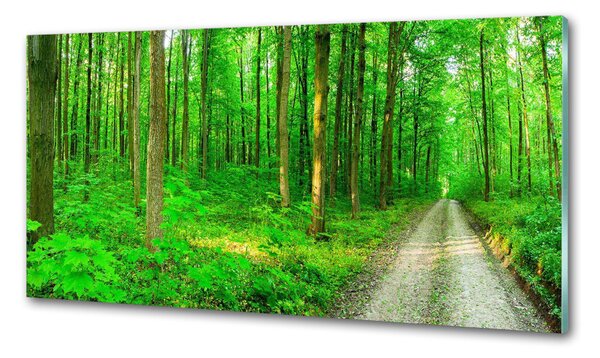Panou sticla securizata bucatarie Copaci în pădure