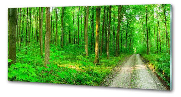 Panou sticla securizata bucatarie Copaci în pădure