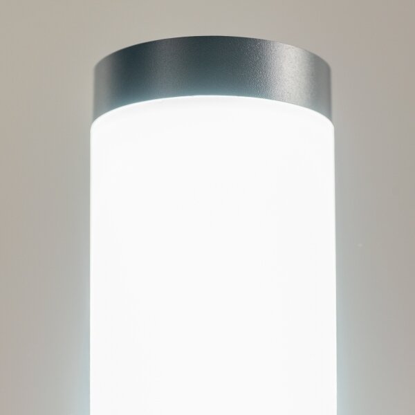 BRILAGI - Lampă de exterior ELIA 1xE27/20W/230V IP44 100 cm antracit