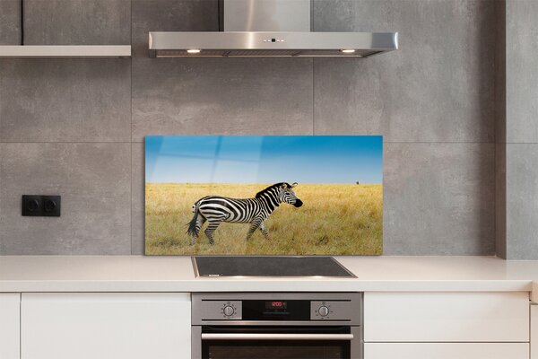 Panouri de sticlă caseta Zebra