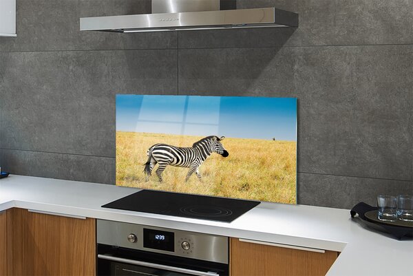 Panouri de sticlă caseta Zebra
