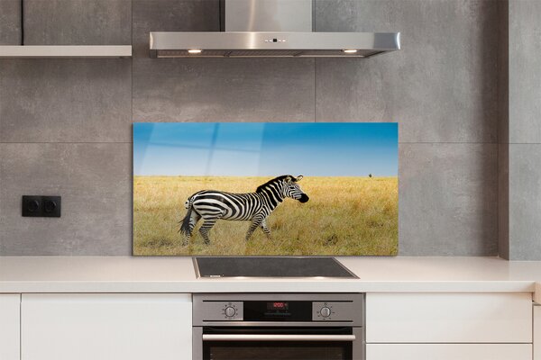 Panouri de sticlă caseta Zebra