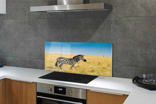 Panouri de sticlă caseta Zebra