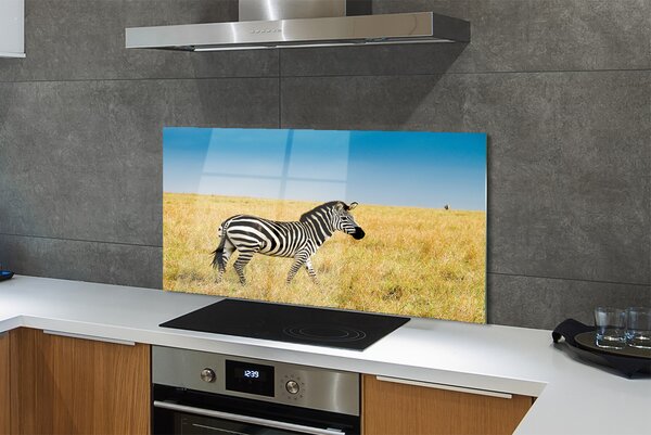 Panouri de sticlă caseta Zebra