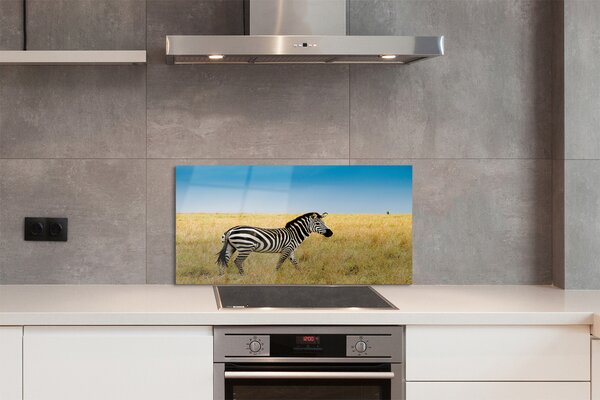 Panouri de sticlă caseta Zebra