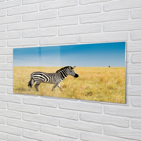 Panouri de sticlă caseta Zebra