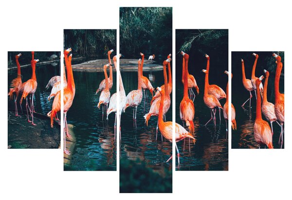 Tablou - turmă de flamingo (150x105 cm)