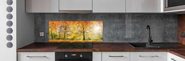 Panou sticla securizata bucatarie pădure în toamna