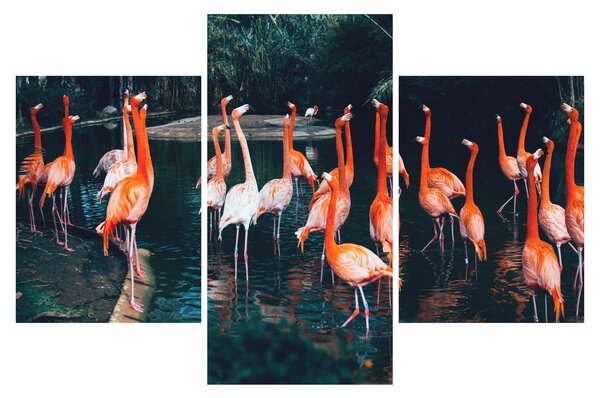 Tablou - turmă de flamingo (90x60 cm)