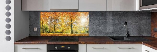 Panou sticla securizata bucatarie pădure în toamna