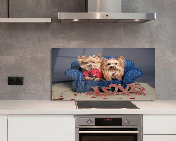Panouri de sticlă Yorkie