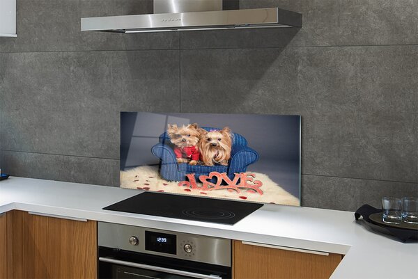 Panouri de sticlă Yorkie