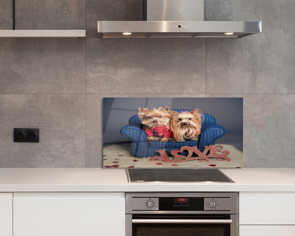Panouri de sticlă Yorkie