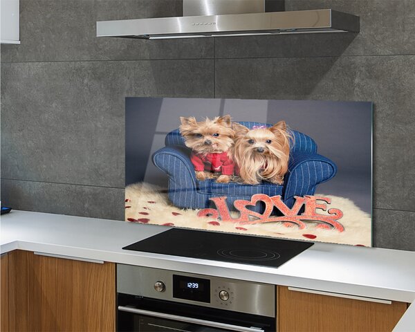 Panouri de sticlă Yorkie