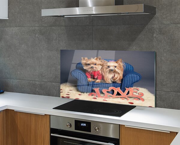 Panouri de sticlă Yorkie