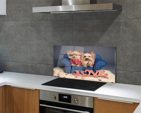 Panouri de sticlă Yorkie