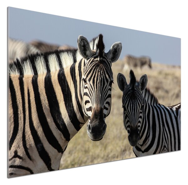 Panou sticla securizata bucatarie două zebre