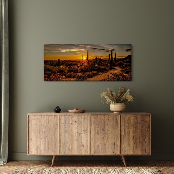 Tablou - Sfărșit de zi în deșertul Arizona (120x50 cm)