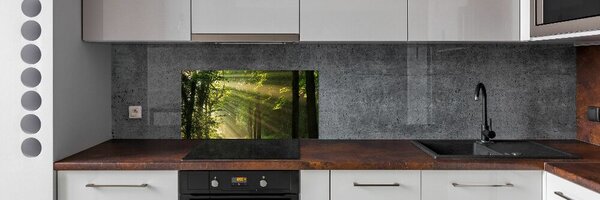 Panou sticlă bucătărie Pădurea în soare