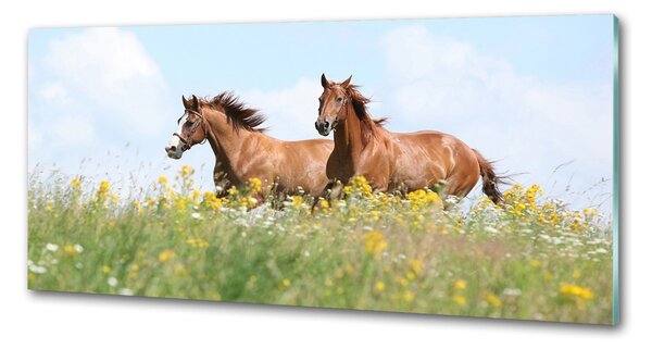 Sticlă pentru bucătărie Doi cai în galop