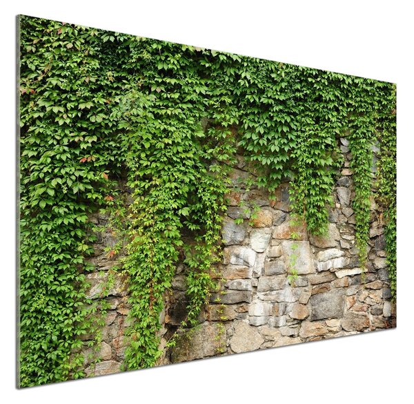 Sticlă pentru bucătărie iederă verde