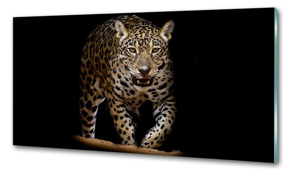 Panou sticlă decorativa bucătărie Jaguar