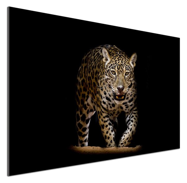 Panou sticlă decorativa bucătărie Jaguar