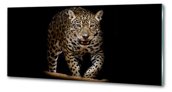 Panou sticlă decorativa bucătărie Jaguar