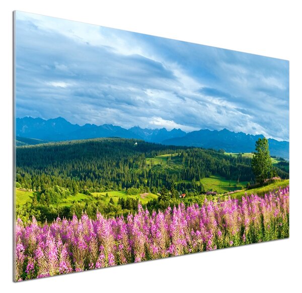 Sticlă bucătărie Lavanda în munți
