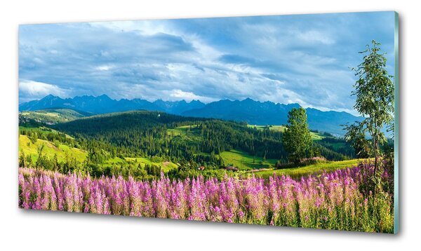 Sticlă bucătărie Lavanda în munți