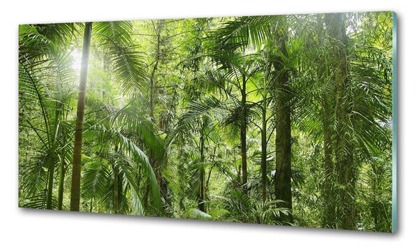 Panou sticlă decorativa bucătărie padure tropicala
