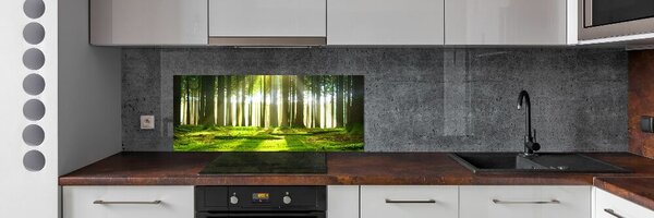 Panou de bucătărie Pădurea în soare