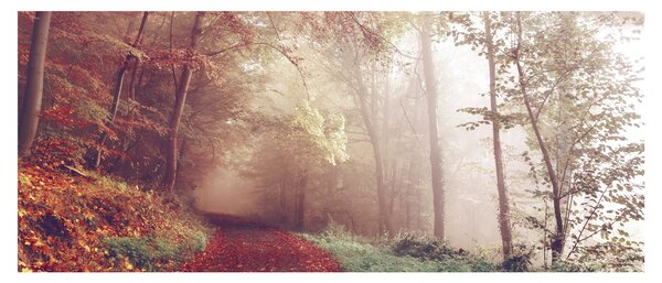 Tablou - Plimbarea de toamnă prin pădure (120x50 cm)