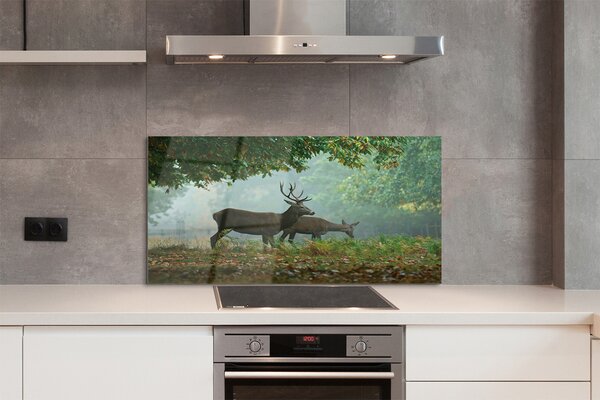 Panouri de sticlă pădure toamna Deer