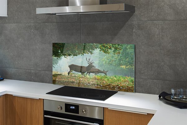 Panouri de sticlă pădure toamna Deer