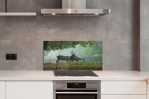 Panouri de sticlă pădure toamna Deer